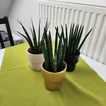 Apartment Rajska Ptica