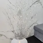 Rajska Ptica Apartamento Bled