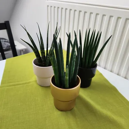 Appartement Rajska Ptica