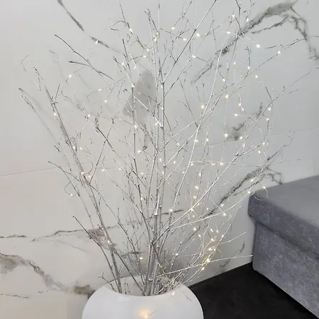 Rajska Ptica 公寓 布莱德