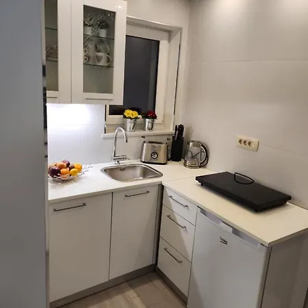 Rajska Ptica Apartment Bled