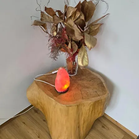 Rajska Ptica 公寓 布莱德