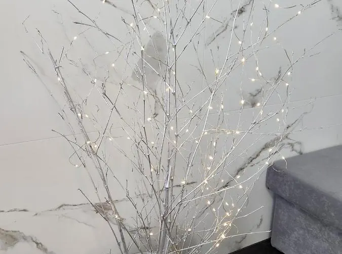 Rajska Ptica Daire Bled