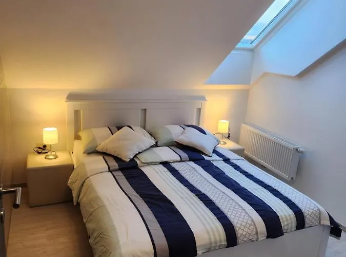 Rajska Ptica بليد