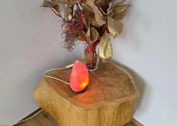 Rajska Ptica Daire Bled