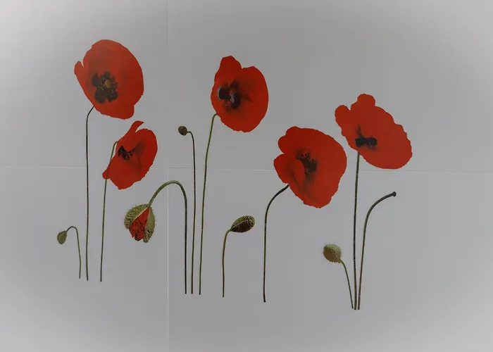 Apartment Rajska Ptica Bled